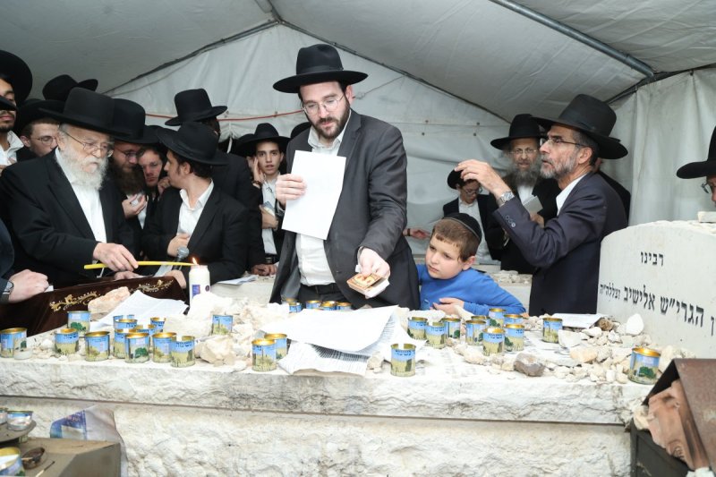 שלומי טריכטר