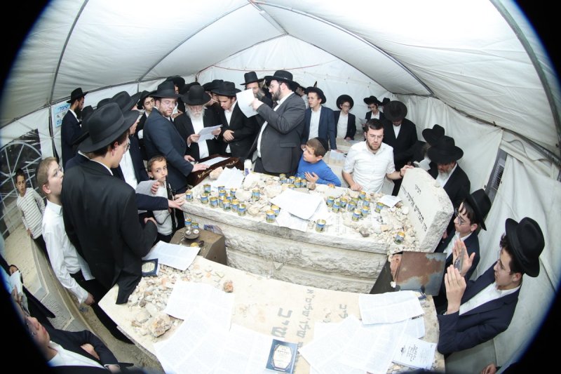 שלומי טריכטר