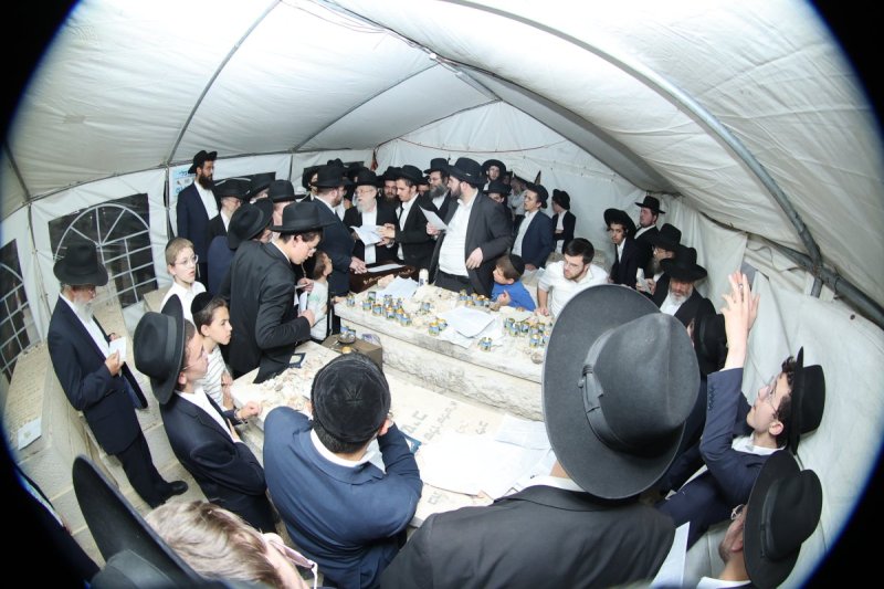 שלומי טריכטר