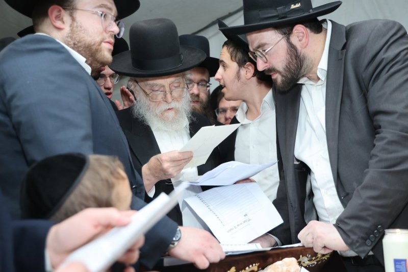 שלומי טריכטר