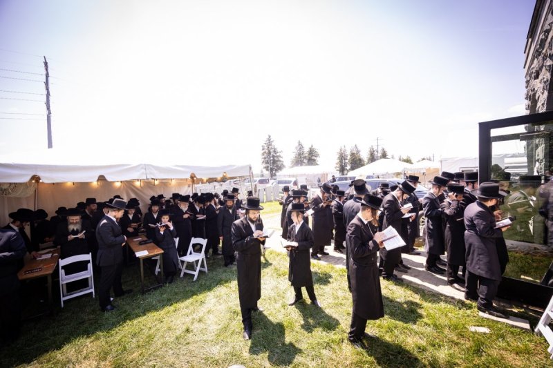 האחים לאנטשעווסקי