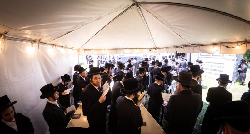 האחים לאנטשעווסקי