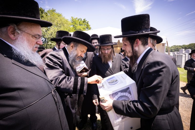 האחים לאנטשעווסקי