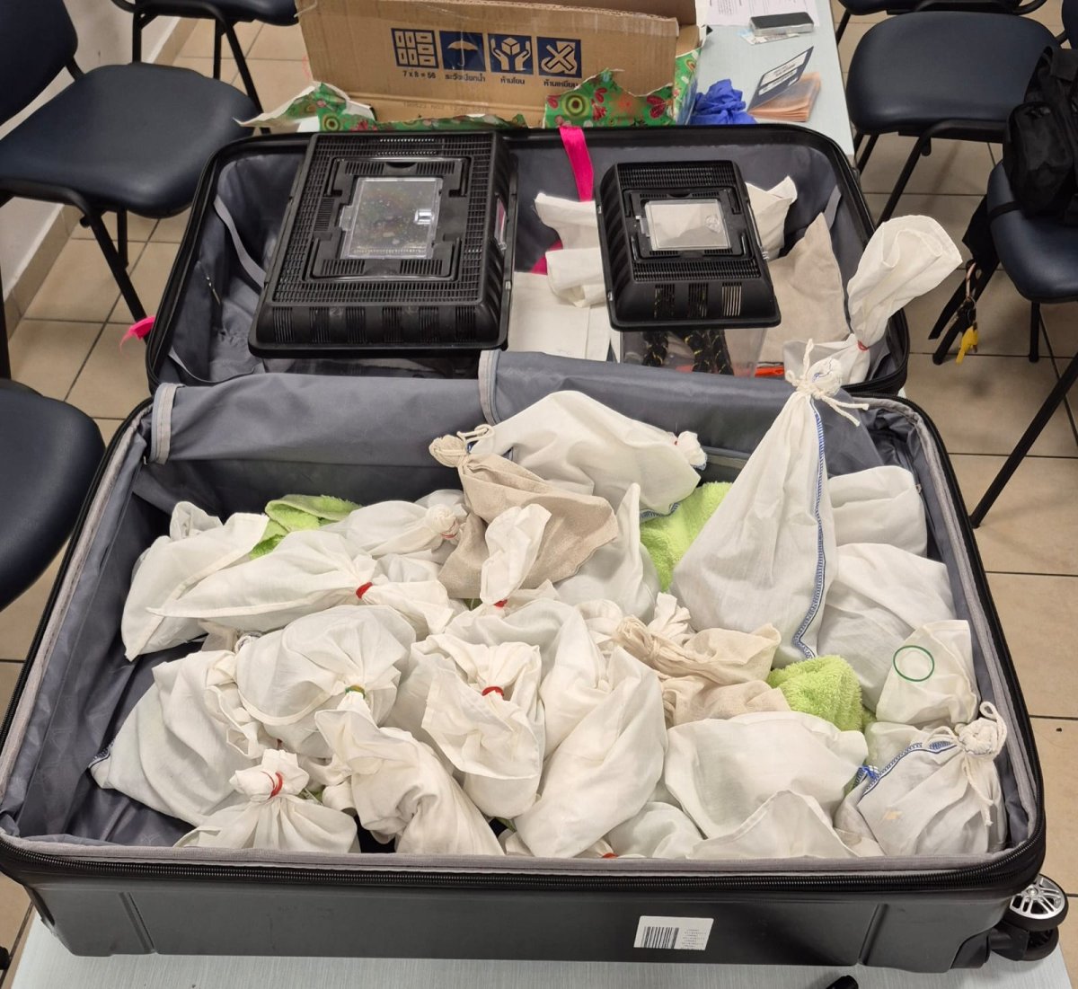 רשות הטבע והגנים