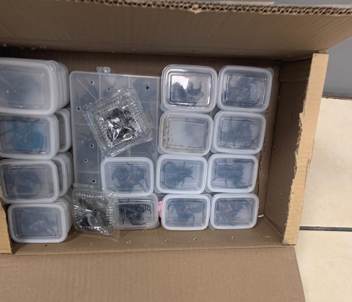 דוברות רשות המסים