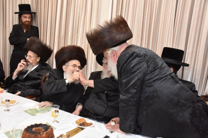 יהודה פרקוביץ