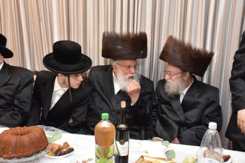 יהודה פרקוביץ