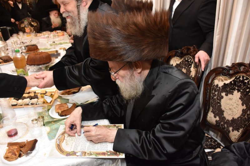 יהודה פרקוביץ