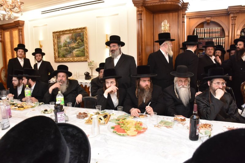 יהודה פרקוביץ