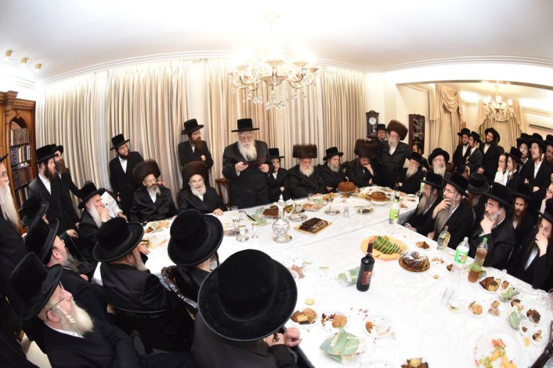 יהודה פרקוביץ