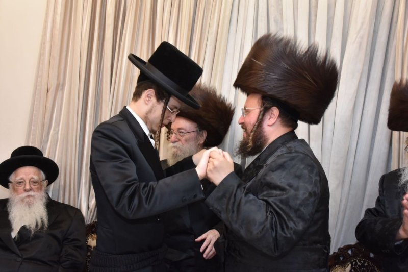 יהודה פרקוביץ