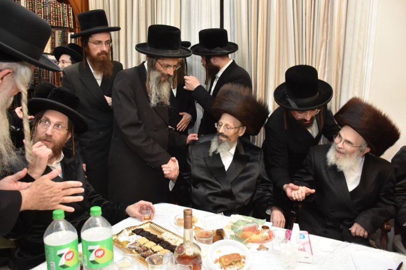 יהודה פרקוביץ