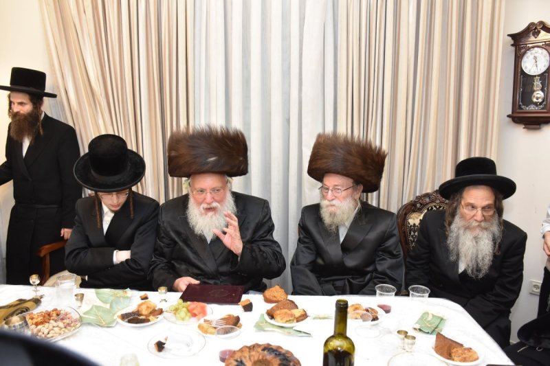 יהודה פרקוביץ