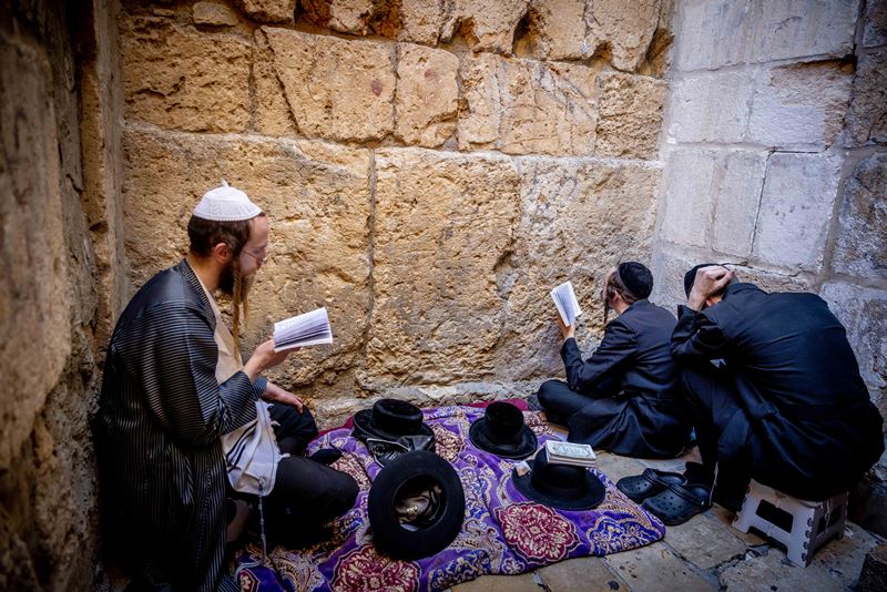 חיים גולדברג, פלאש 90