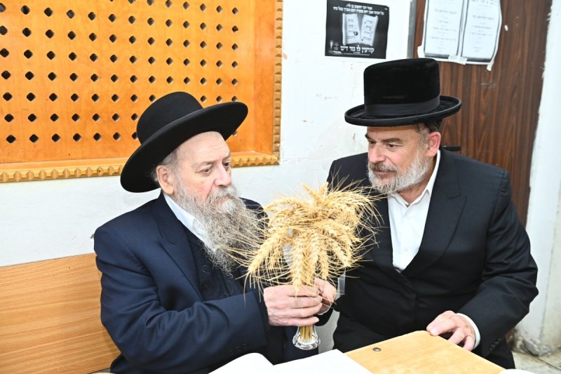 שוקי לרר