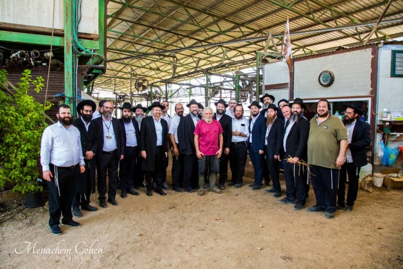 יחצ