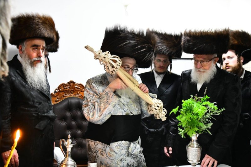 שוקי לרר