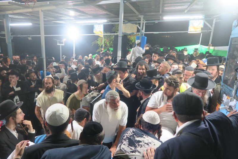 מ. אדלר