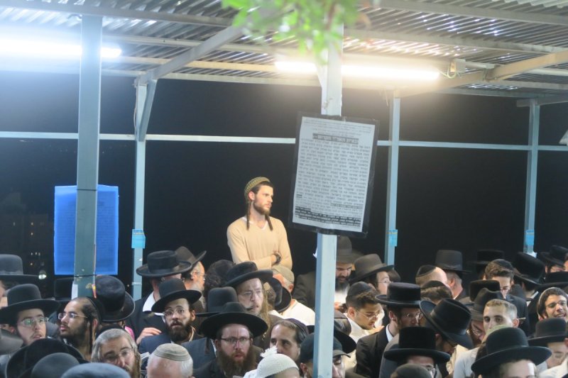 מ. אדלר