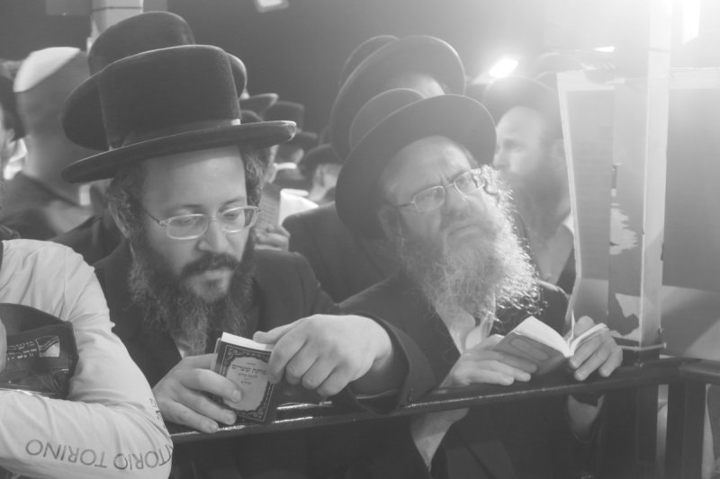 מ. אדלר