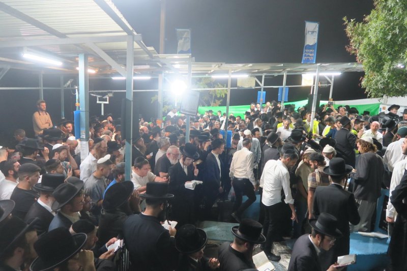 מ. אדלר