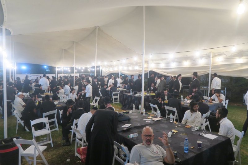 מ. אדלר