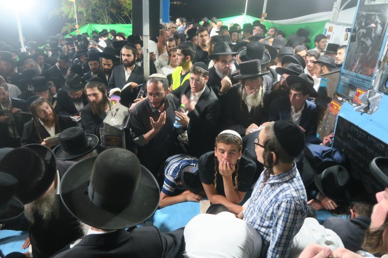 מ. אדלר