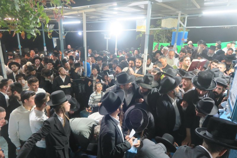 מ. אדלר