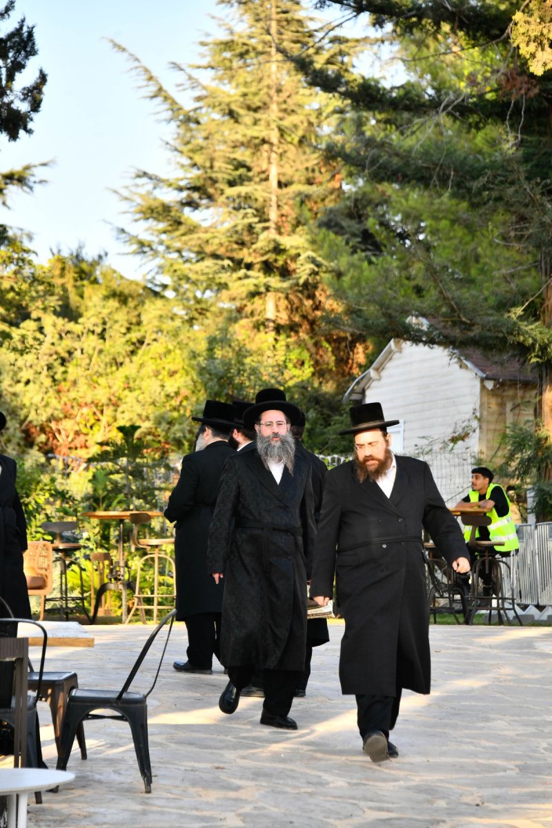 שוקי לרר