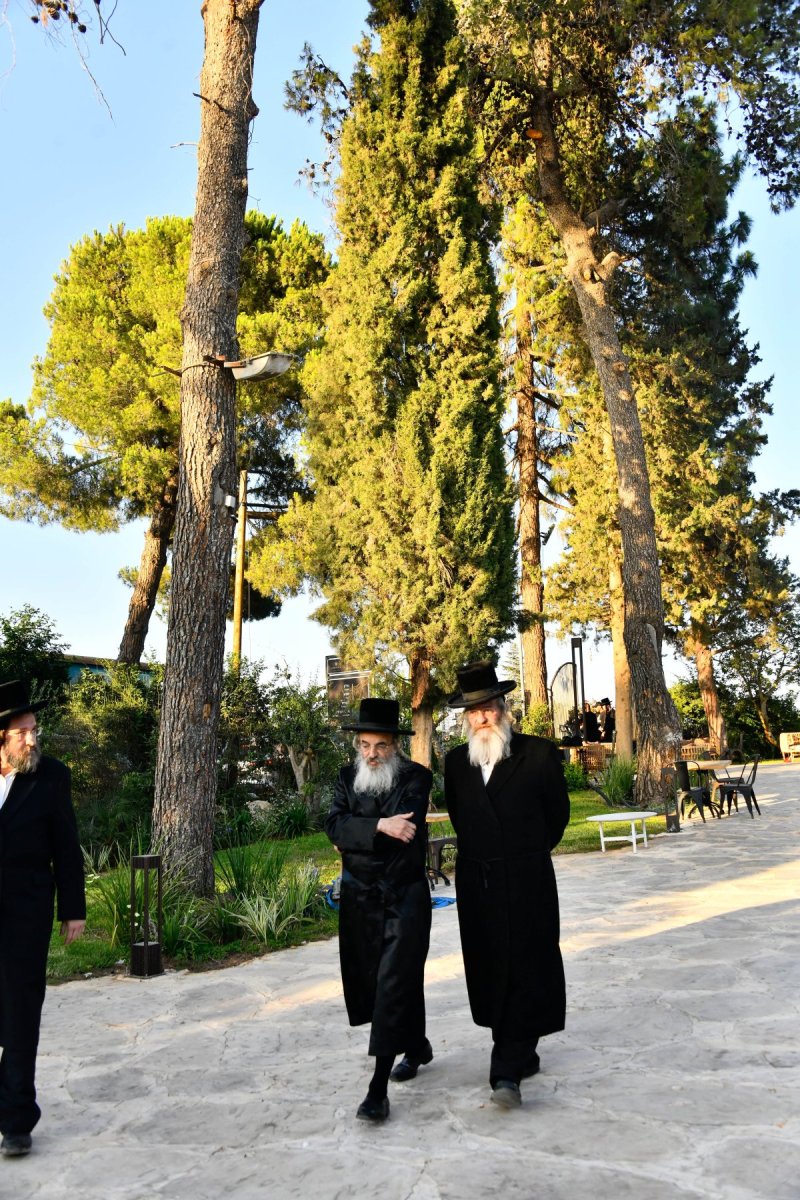 שוקי לרר