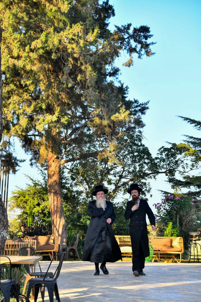 שוקי לרר