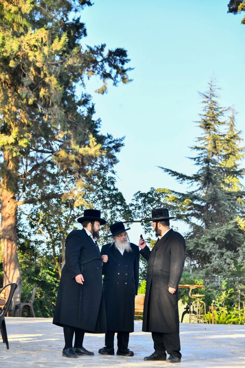 שוקי לרר