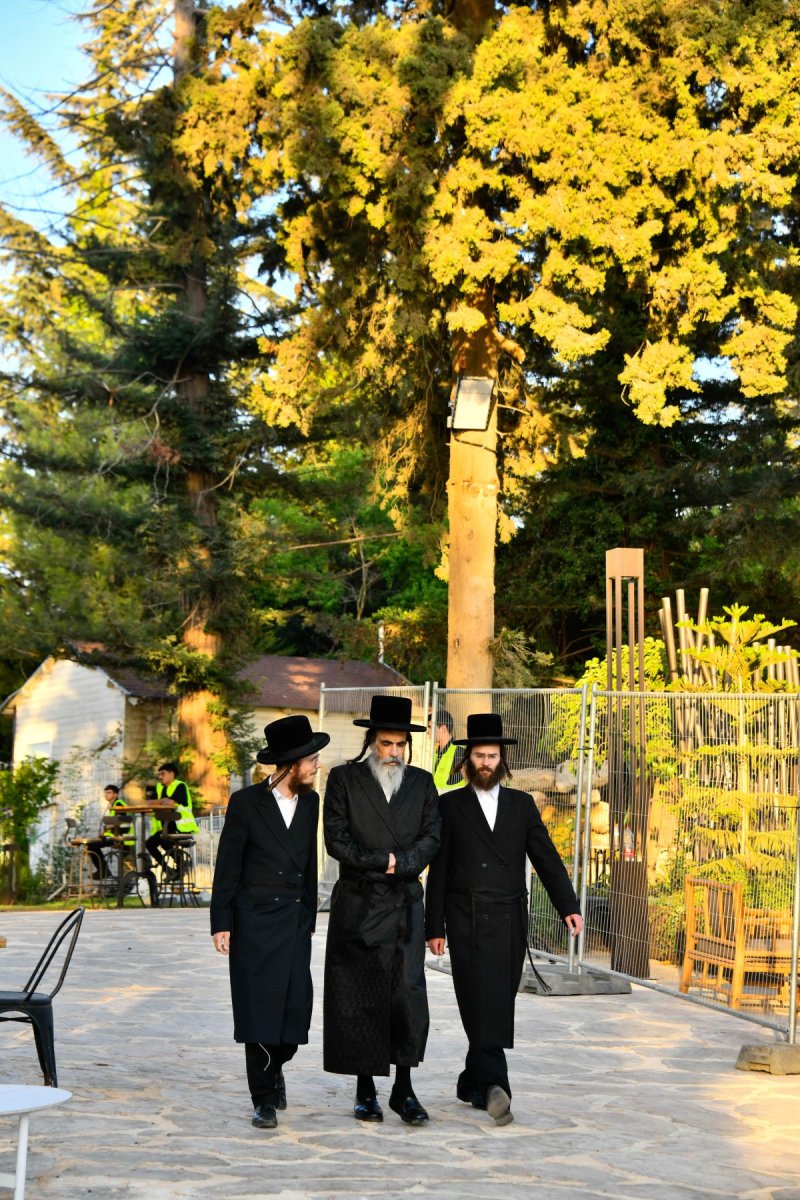 שוקי לרר