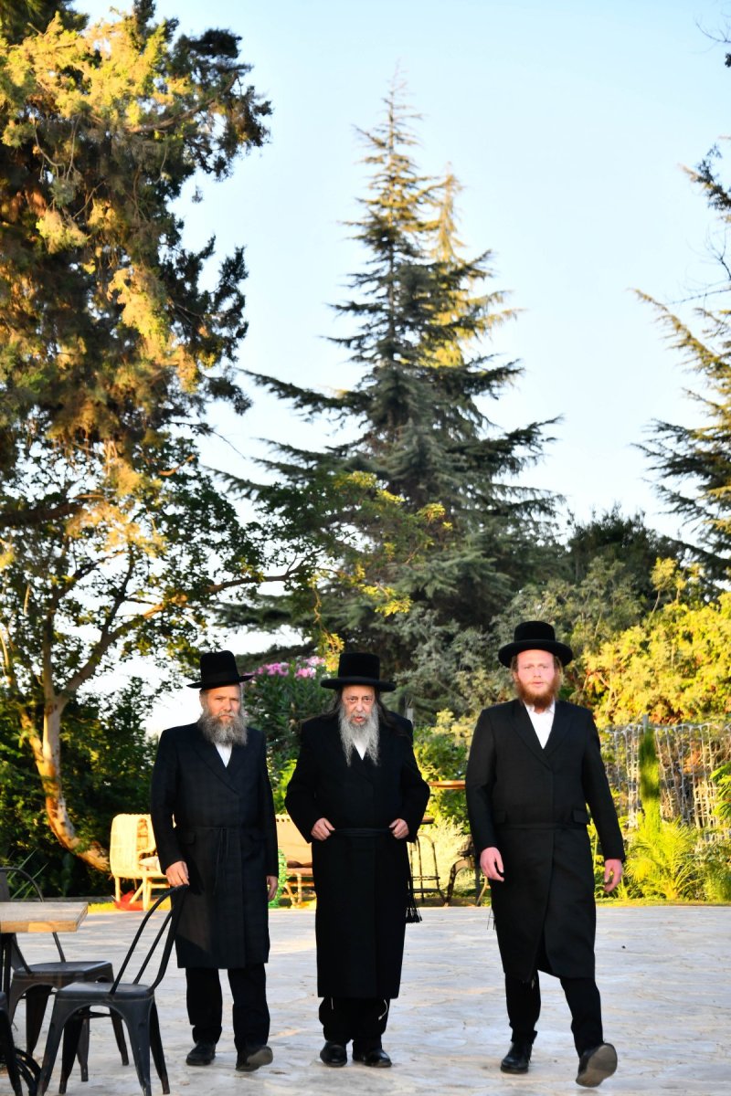 שוקי לרר