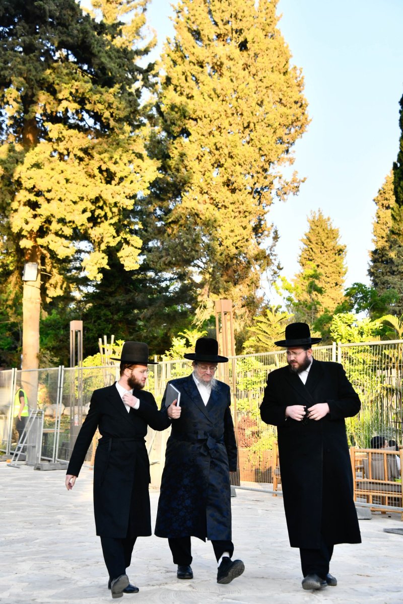 שוקי לרר
