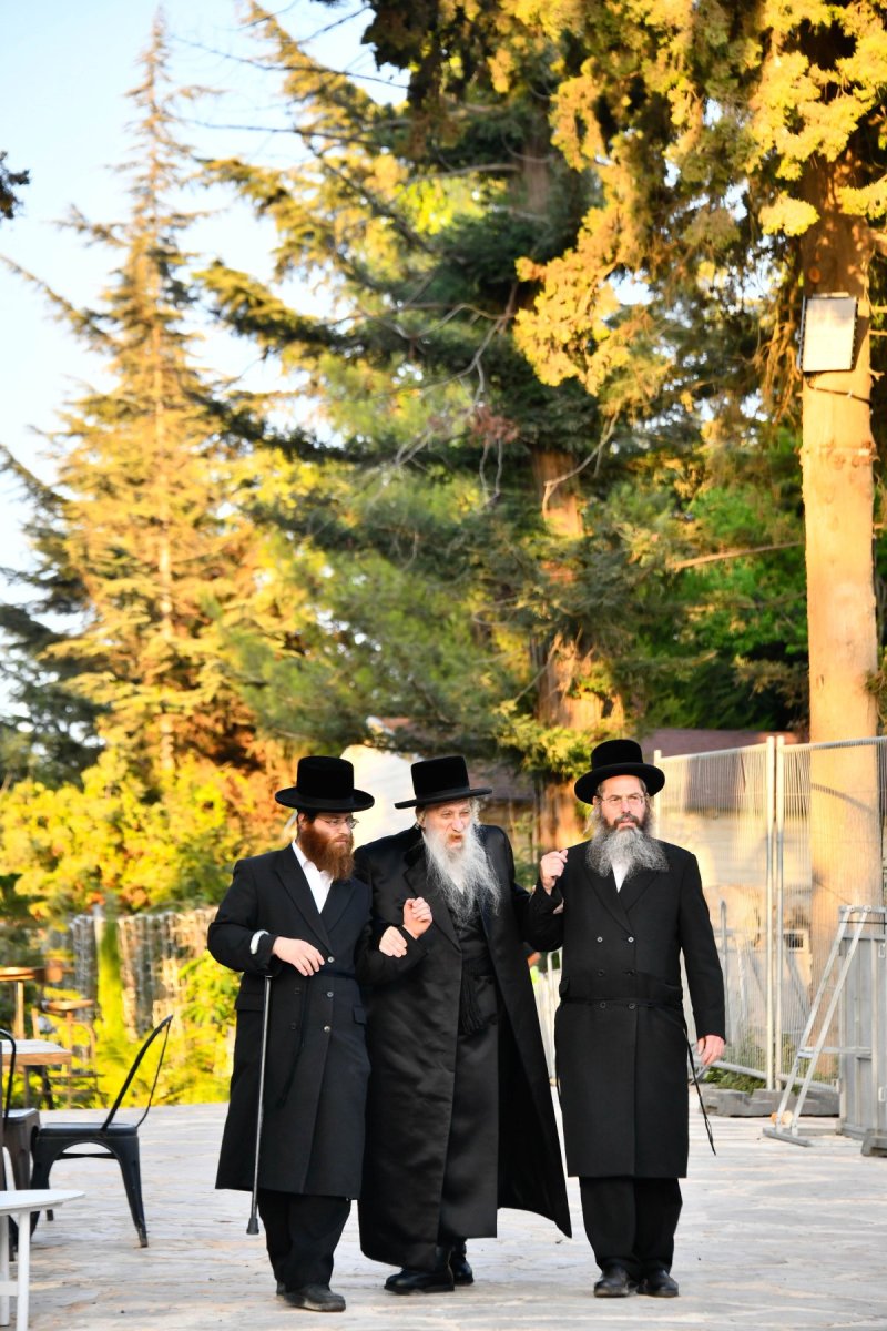שוקי לרר