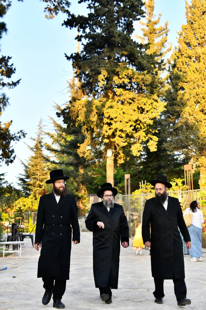 שוקי לרר