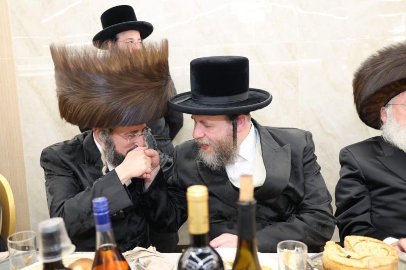 שלומי טריכטר