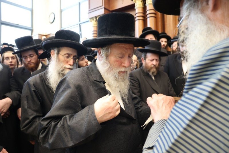 שלומי טריכטר