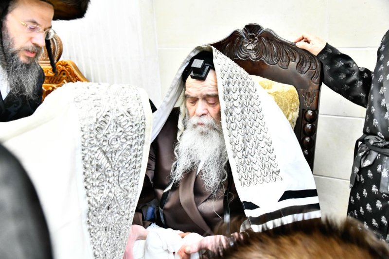 שוקי לרר