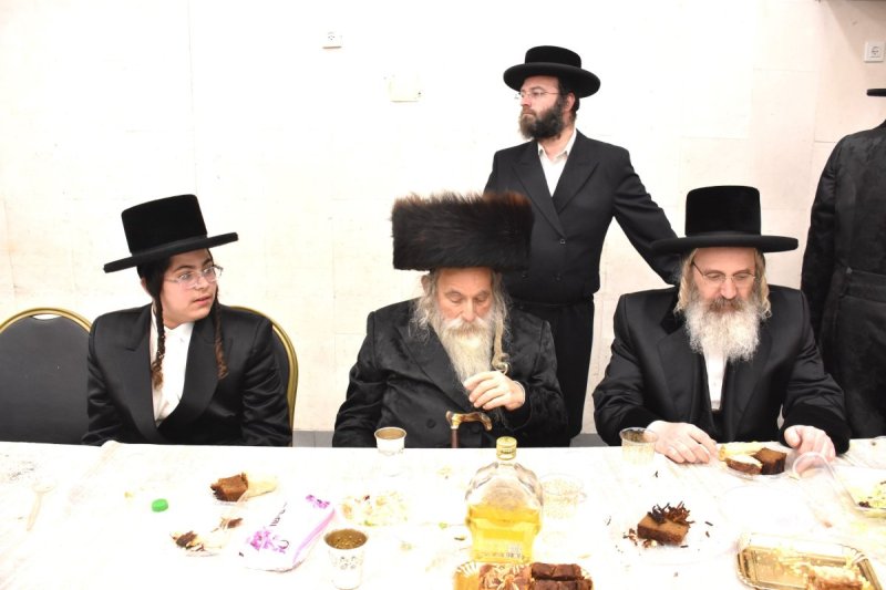 יהודה פרקוביץ