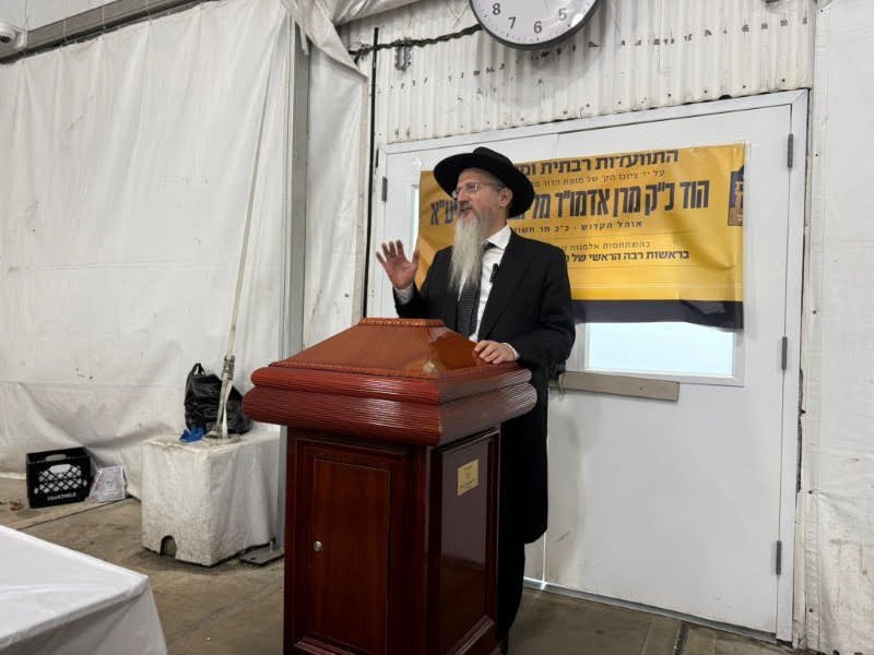 דניאל נפוסי