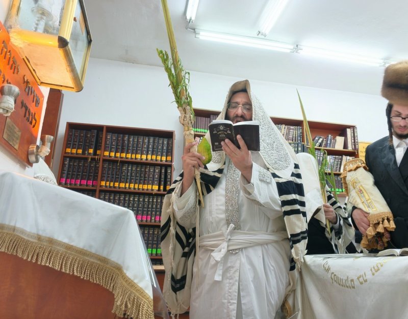 שוקי לרר