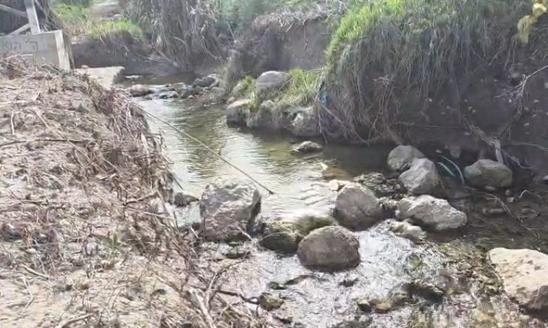 יש מים או אין מים? כרמלי יצא לבדוק את נחל ירמות