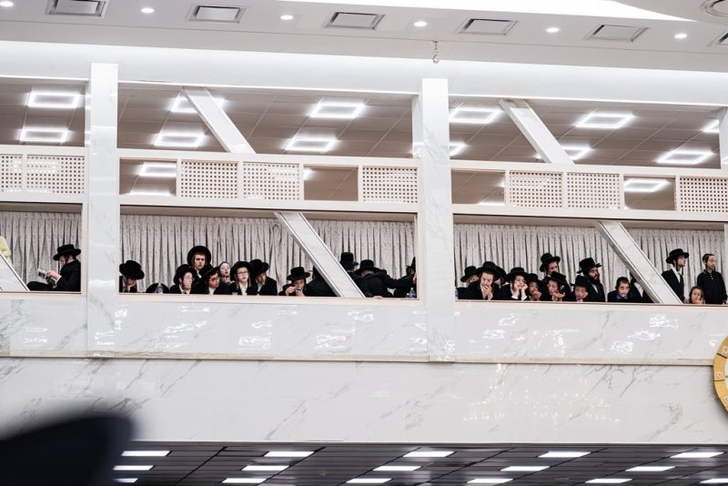 י. שטיין