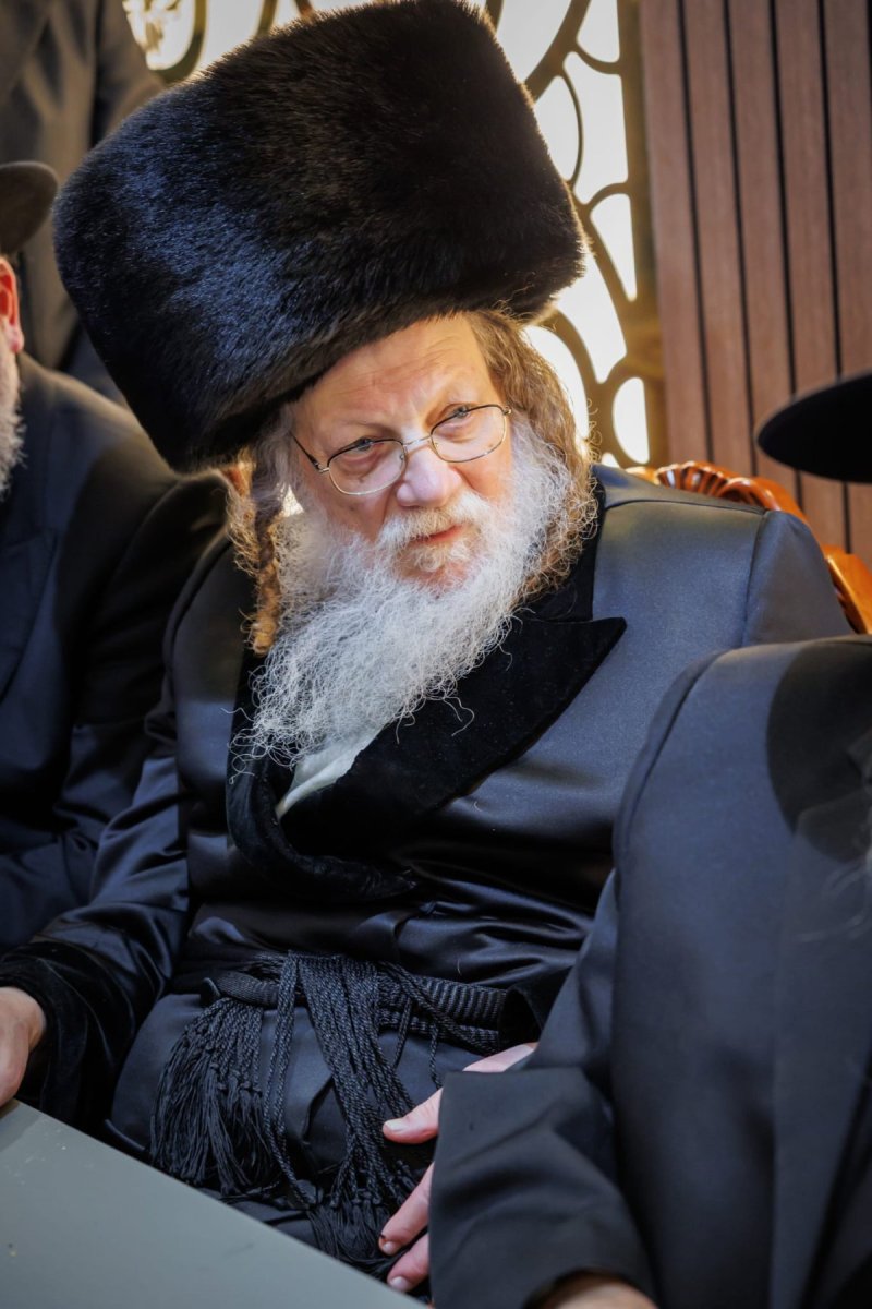 דניאל נפוסי ומאיר זלזניק