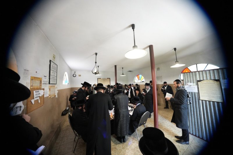 ארי גרינבלאט