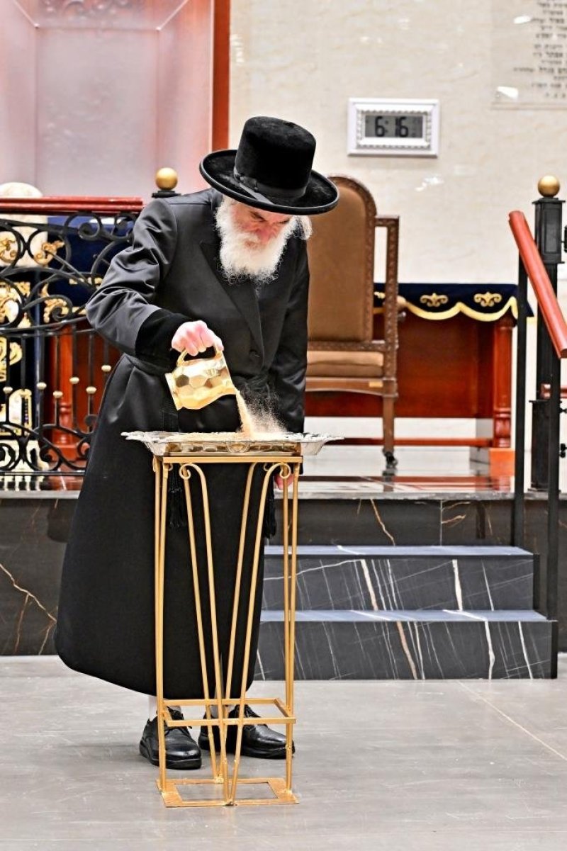 יהושע פרוכטר