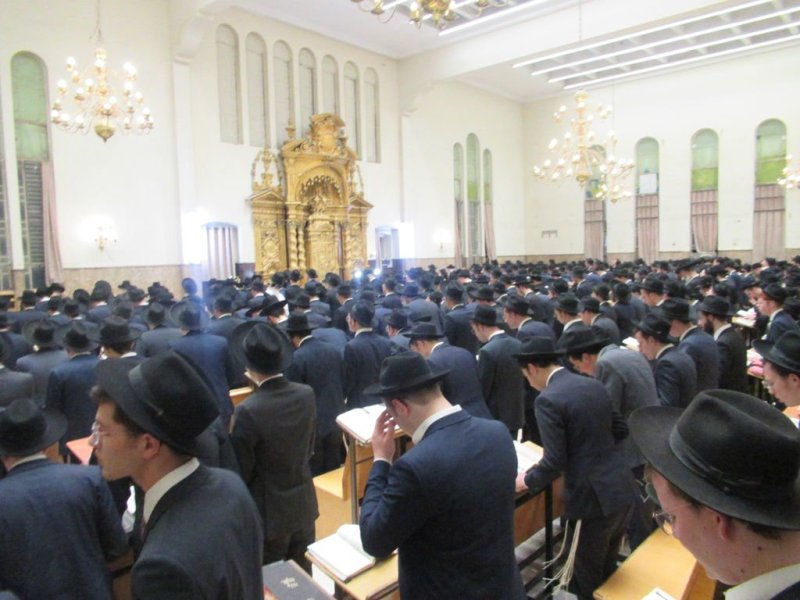 באדיבות המצלם