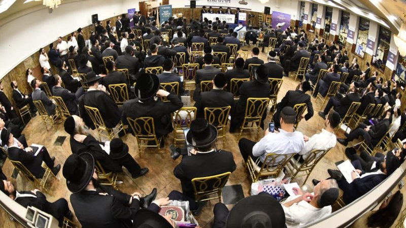 שוקי לרר ושלומי כהן